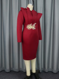 Women Formal Party Embroidered Long Sleeve Dress