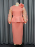 Women Formal Party Pink See-Through Sleeve Dress