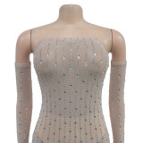 Fashion Women's Clothing Beaded Rhinestone Strapless Sexy See Through Nightclub Long Dress