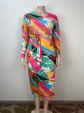 Plus Size printed long sleeve slim long dress