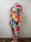 Plus Size printed long sleeve slim long dress