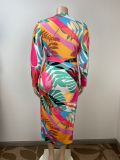 Plus Size printed long sleeve slim long dress