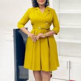 Women Solid Turndown Collar Dress