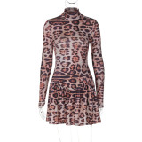 Women Autumn Printed Leopard Long Sleeve Dress