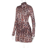 Women Autumn Printed Leopard Long Sleeve Dress