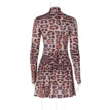 Women Autumn Printed Leopard Long Sleeve Dress