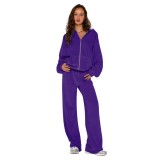 Fashion Solid Color Velvet Hooded Two-Piece Tracksuit Women's Clothing