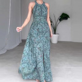 Summer Fashion Print Round Neck Sleeveless Sexy Low Back Long Dress For Women