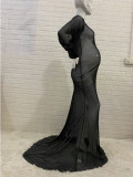 Women's Clothing See-Through Long Sleeve Maternity Dress