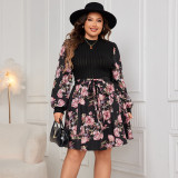 Plus Size Women Long Sleeve Print Dress