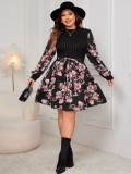 Plus Size Women Long Sleeve Print Dress