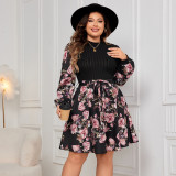 Plus Size Women Long Sleeve Print Dress