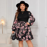 Plus Size Women Long Sleeve Print Dress