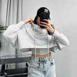 Women Fall and Winter Solid Casual Vest and Long Sleeve Crop Hoodies Two-piece Set