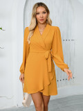 long sleeve Turndown Collar Women's elegant Chic dress