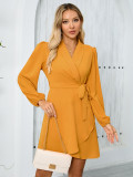 long sleeve Turndown Collar Women's elegant Chic dress