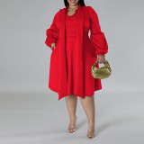 Plus Size Women's tied Neck Puff Long Sleeve A-line Dress