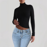 Women Solid knitting Basic Long Sleeve Top