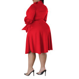 Plus Size Women's tied Neck Puff Long Sleeve A-line Dress