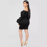 Autumn Winter Puff long Sleeve Off Shoulder V Neck Slim Women's Dress