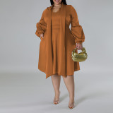 Plus Size Women's tied Neck Puff Long Sleeve A-line Dress