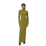 Autumn Fashion Elegant High Collar Slim Long Sleeve Women Long Dress