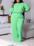 Plus Size Women Casual Loose Top and Pant Two-piece Set