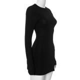 Women's Long Sleeve texture Sexy Bodycon Dress