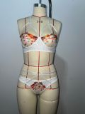 Women sexy bra See-ThroughSexy Lingerie two-piece set