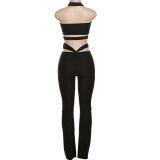 Women Summer Solid Hollow Sleeveless Halter Neck Crop Top and Pants Two-Piece Set