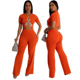 Women Short-sleeved Crop Top and Bell Bottom Pants Two-piece Set