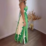 Summer Halter Neck Sexy Fashion Holidays Beach Long Print Women Dress