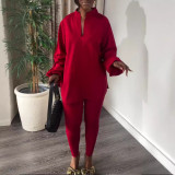 Women V-Neck Lantern Sleeve Slit Shirt and Pants Two-Piece Set