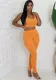 Women Solid Vest and Pocket Pant Two Piece Set