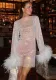 Furry Long Sleeve See-Through Mesh Fashion Trend Sexy Women's Nightclub  Dress