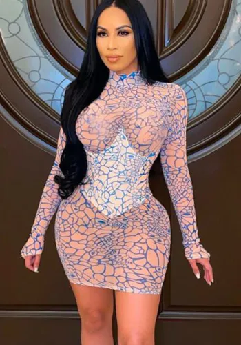 Summer See-Through Mesh Dress Women High Collar Print Long Sleeve Tight Fitting Bodycon Dress