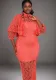 See-Through Lace Dress Strap Basic Dress Formal Party Two Piece Dress Set