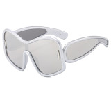 Women Large Frame Oversize Sunglasses