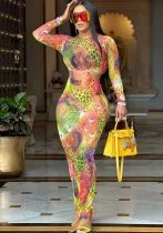 Women Round Neck Printed Long Sleeve Bodycon Dress