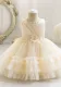 Girls' Flower Girl Evening Dress Puffy Princess Dress Baby Dress