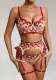 Women Embroidered Flowers Gathered See-Through Sexy Lingerie Set