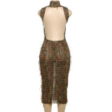 Spring Women's Fashion High Neck Trendy Sexy Hollow High Waist Slim Long Dress