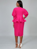 Women V-neck Lantern Sleeve Embroidered Dress