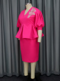Women V-neck Lantern Sleeve Embroidered Dress