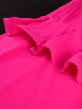 Women V-neck Lantern Sleeve Embroidered Dress