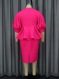 Women V-neck Lantern Sleeve Embroidered Dress