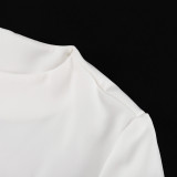 Spring And Autumn Chic Elegant Slim Long Sleeve Women's Fashion Sexy Bodycon Dress