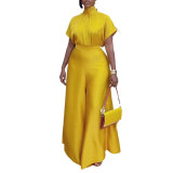 Satin Lace-Up Flying Sleeve Top Wide-Leg Pants Two-Piece Set