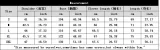 Loose Casual Parent-Child Autumn Winter Lantern Gray Pullover Christmas Knitting Sweater