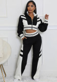 Women autumn and winter high collar zipper Top and Contrast Color trousers Two Piece Set